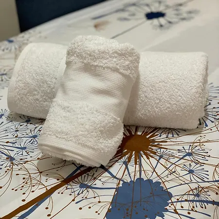 Nemanja Center Apartamento